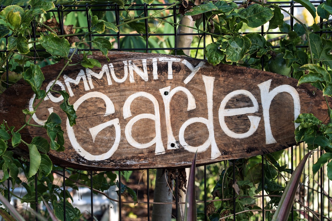 Photo Community garden